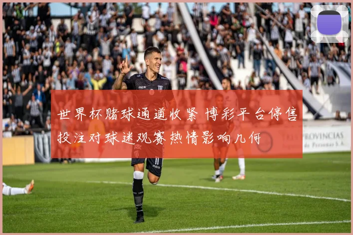 世界杯赌球通道收紧 博彩平台停售投注对球迷观赛热情影响几何