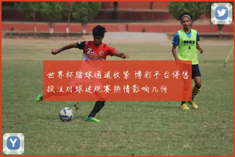 世界杯赌球通道收紧 博彩平台停售投注对球迷观赛热情影响几何