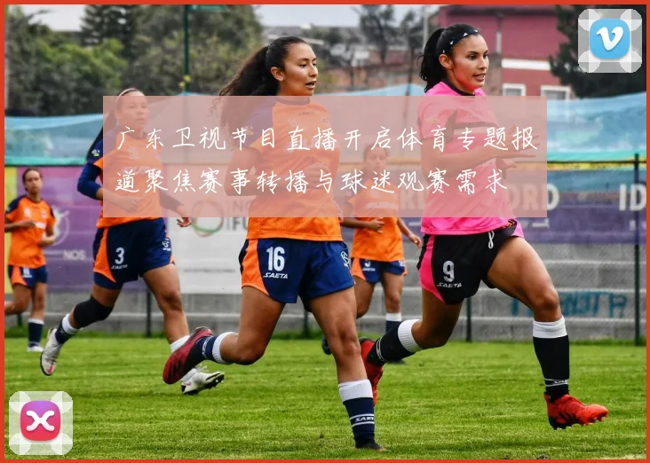广东卫视节目直播开启体育专题报道聚焦赛事转播与球迷观赛需求