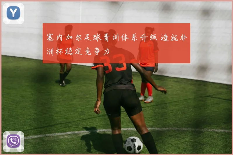 塞内加尔足球青训体系升级 造就非洲杯稳定竞争力